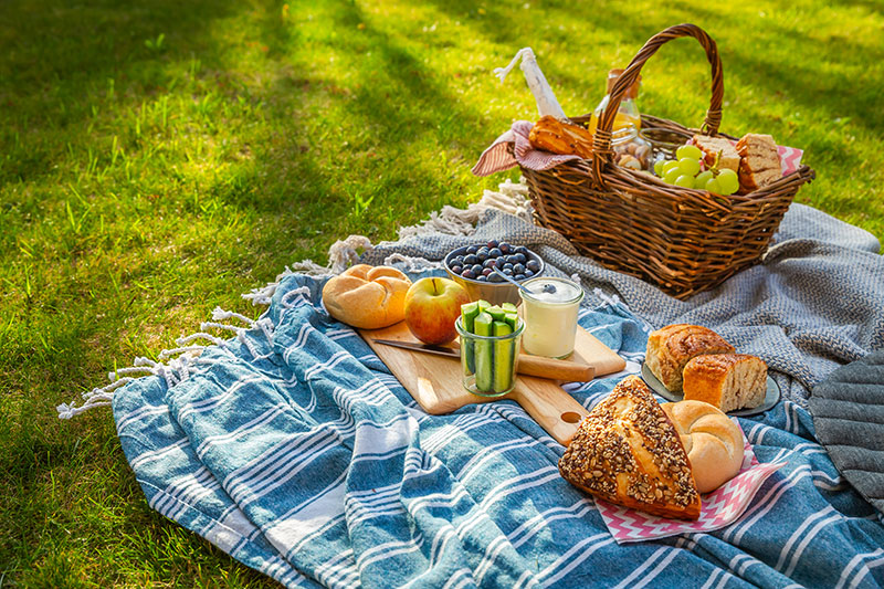 Picnic lunch on a blanket.